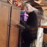 Guy dressed in black and kicking